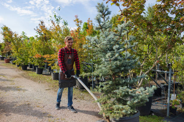 Best Lawn Irrigation Installation and Maintenance  in Sidney, MT